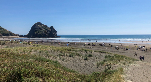 Piha Beach during summer with lots of visitors