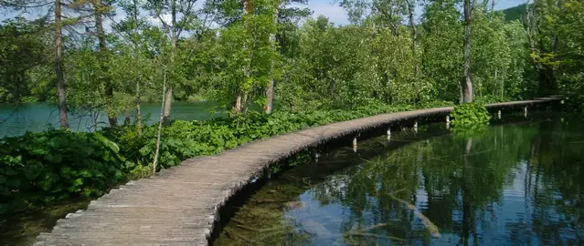 Early morning before the crowds arrive at Plitvice