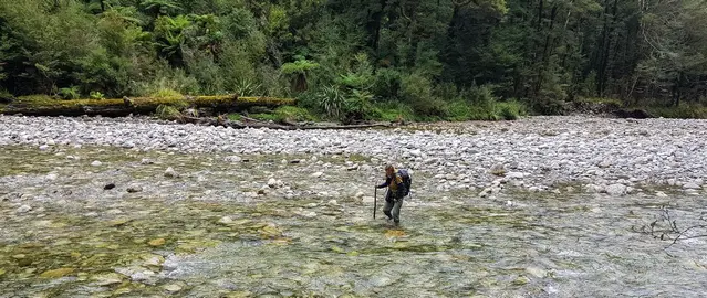 River Crossing at the Ballroom Overhang Hike in the Paparoa National Park