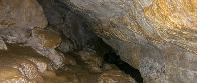Punakaiki Cavern in the Paparoa National Park
