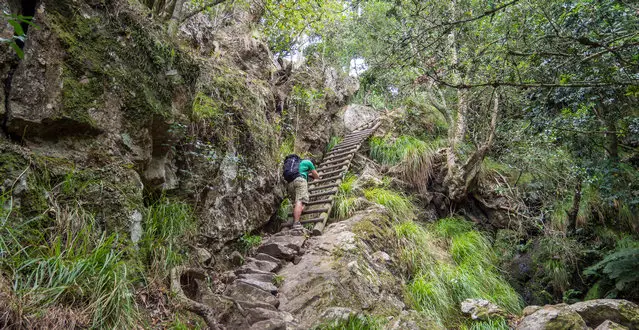 Ladder climbing in the Skeleton Gorge