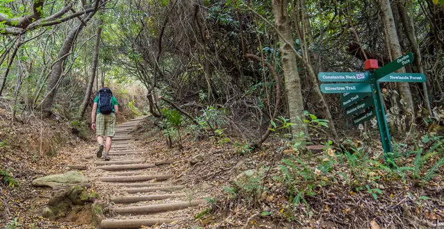 Beginning of the Skeleton Gorge Trail to Table Mountain