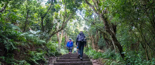 Guanyinshan Hiking trail with view to Yangmingshan and Taipei