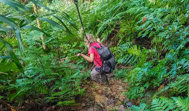 Unmarked Hiking Trails in Taiwan - clost to Wulai