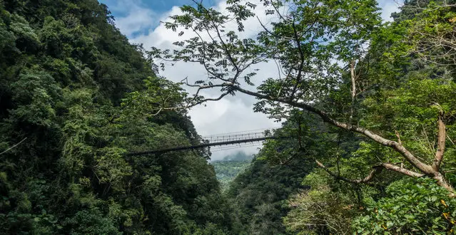 Suspension Bridge to Bell Tower in Taroko Gorge