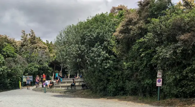 Hikers waiting at Ketetahi Parking for the shuttle bus