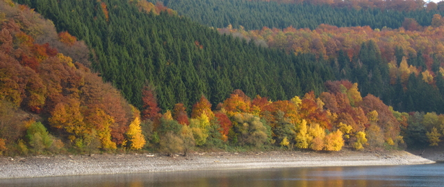 Fall foliage at River Rur Dam