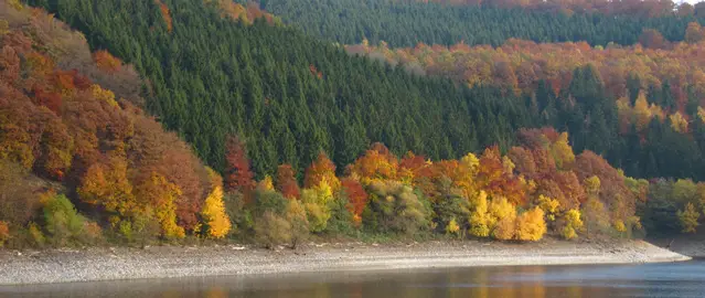 Fall foliage at River Rur Dam