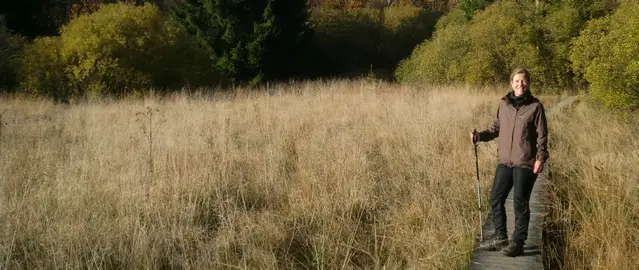 Hiking in the Ardennes, High Fens on a boardwalk