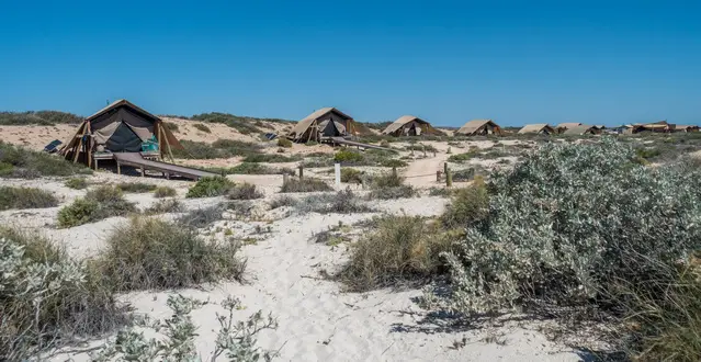 Sal Salis - Ningaloo with beach in front of the luxury tents