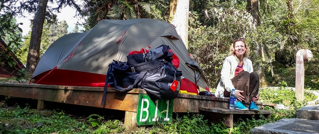 Camping in the Xitou Bamboo Forest Recreation Area
