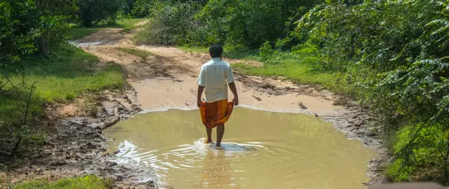 Our driver was checking the depth of a waterhole