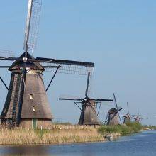 The Windmills of Kinderdijk 