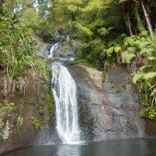 Fairy Falls at Waitakere Ranges