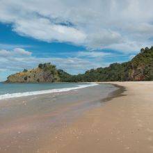 Walk to the Hidden New Chums Beach in Coromandel