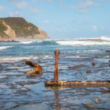 Wreck Beach - Top Detour at the Great Ocean Road