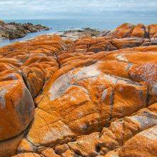 Bay of Fires - Eddystone Point