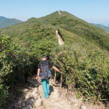 Dragon's Back Hiking Trail in Hong Kong -Details, Location and Tips