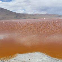 Parque Nacional Eduardo Alvaroa