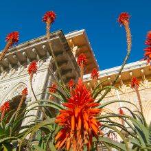 Season Guide and Tickets for Monserrate Palace and Garden in Sintra