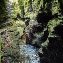 Lydford Gorge in the Dartmoor