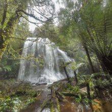 Marriotts Falls a Hidden Gem in Tasmania - Location and Trail Details