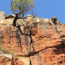 Hiking in the Cederberg