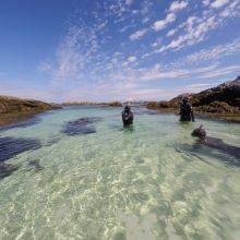 Snorkeling at Cairns of Coll