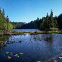 Hiking the Four Lakes Trail in the Alice Lake Provincial Park