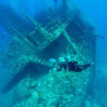 Wreck Diving in the Red Sea