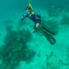 John Pennekamp State Park - Key Largo Snorkelling