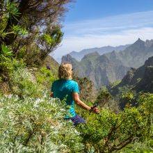 3 Best Hiking Trails in the Anaga Rural Park in Tenerife