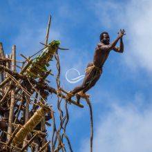Land Diving in Pentecost Vanuatu - 6 Facts About the Roots of Bungee Jumping