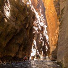 Zion Narrows Hike From Temple of Sinawava – Detailed Season Guide