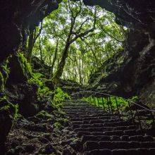 Gruta das Torres – Pico Island’s Lava Tube and Guided Cave Tour