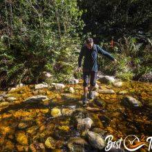 Jubilee Creek Picnic Site and Hike in the Knysna Forest