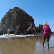 Puffins and Low Tide at Haystack Rock in Cannon Beach - Oregon