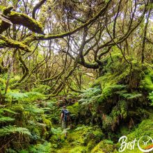 Algar do Carvão and 9 Must-Visit Places in Terceira - Azores