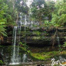 Russell Falls in the Mount Field National Park - Waterfalls, Hikes and Wildlife