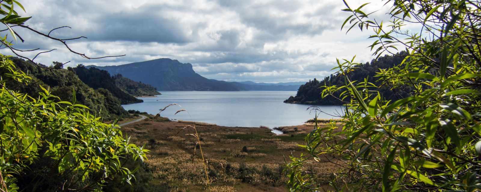 Lake Waikaremoana and an Ancient Rata Tree in Te Urewera