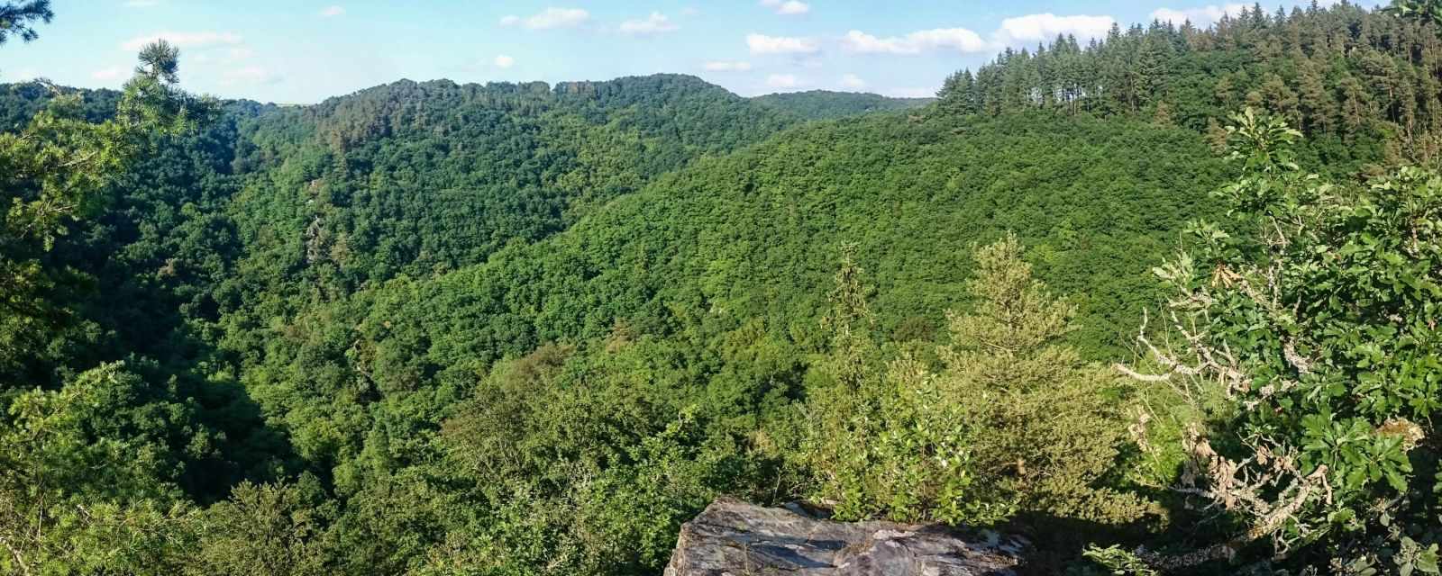 Baybachklamm - Ravine