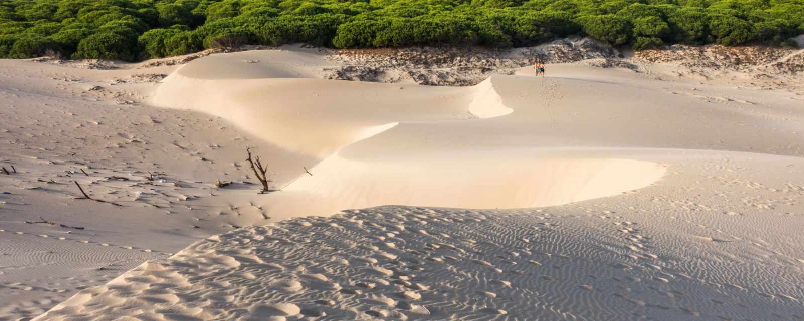 Bolonia Beach and Dune Tarifa