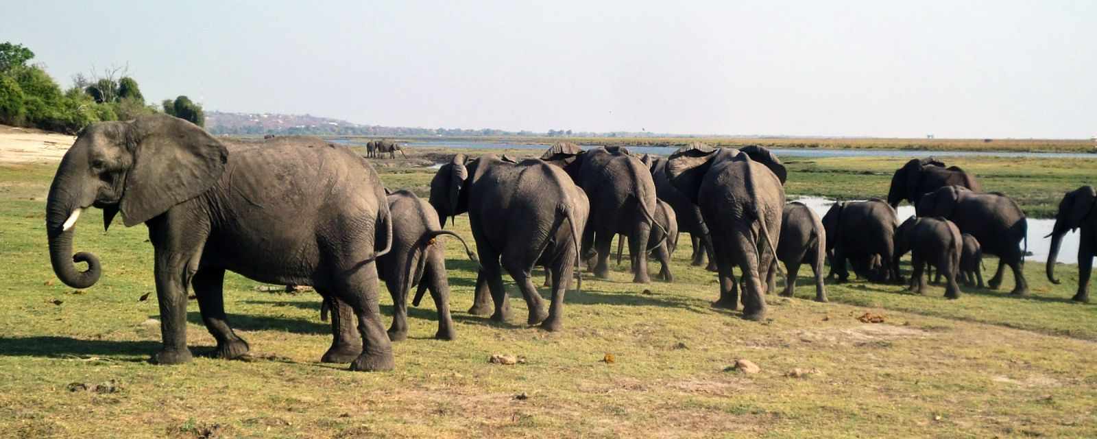 Chobe National Park in Botswana