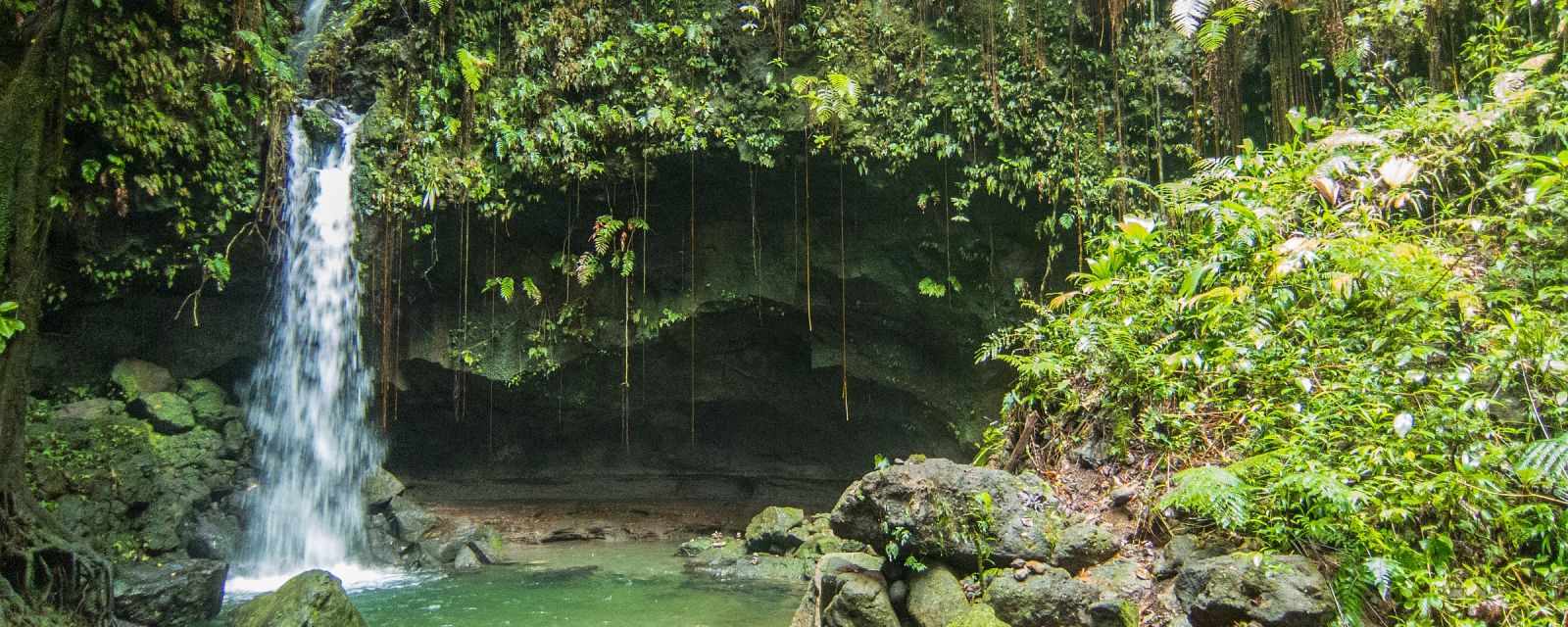 Have a Swim at Emerald Pool 