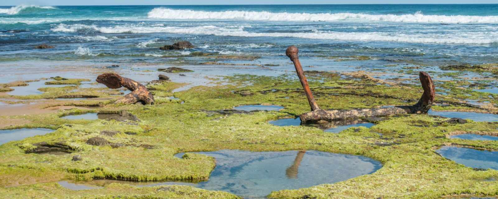 Wreck Beach - Top Detour at the Great Ocean Road