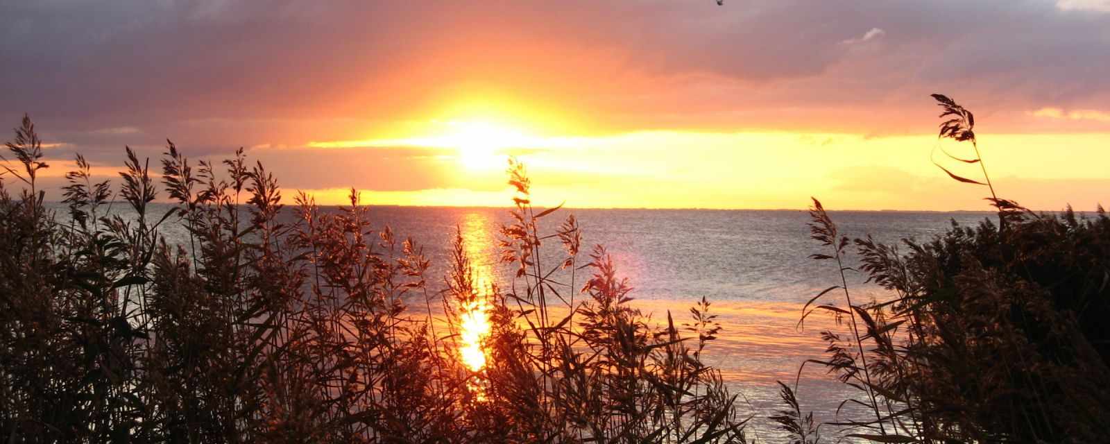 Curonian Spit in Lithuania