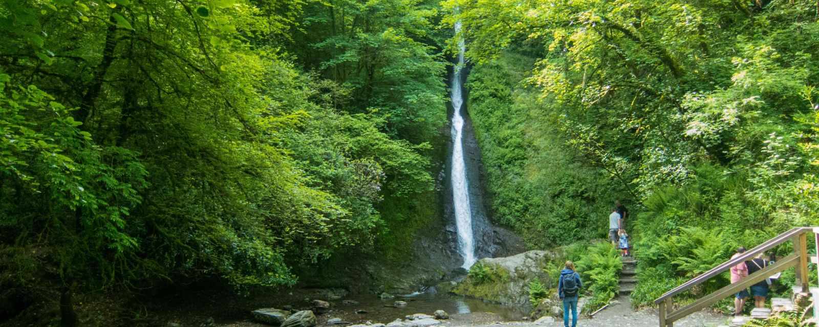 Lydford Gorge in the Dartmoor