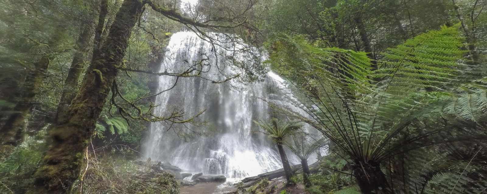 Marriotts Falls a Hidden Gem in Tasmania - Location and Trail Details