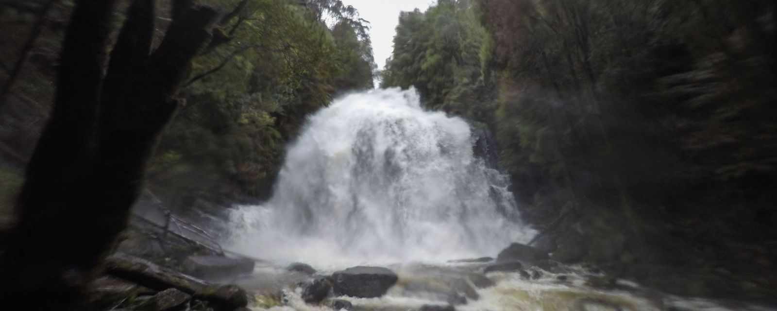 Nelson Falls at Lyell Highway in Tasmania