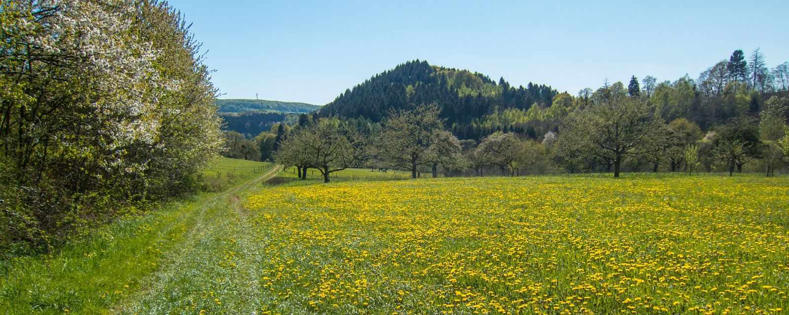 Oppig-Grät Trail